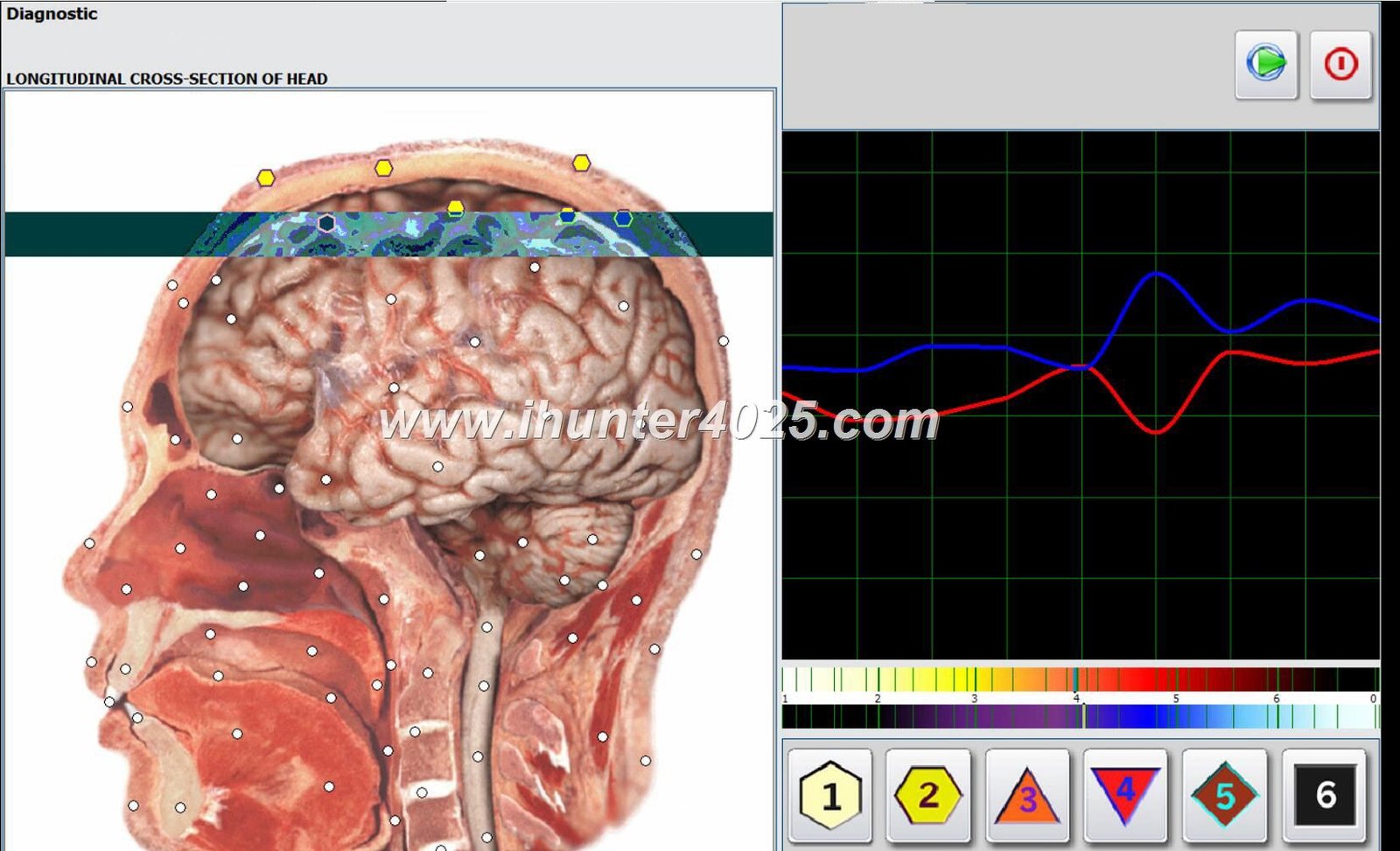 metapathia gr clinical