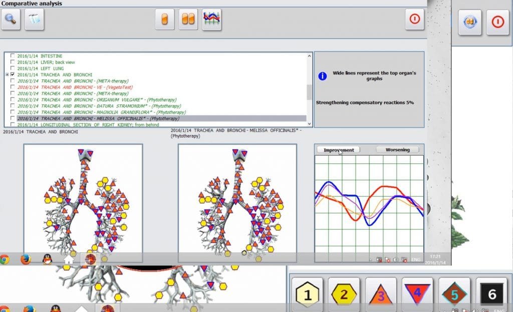 Metatron nls analyse